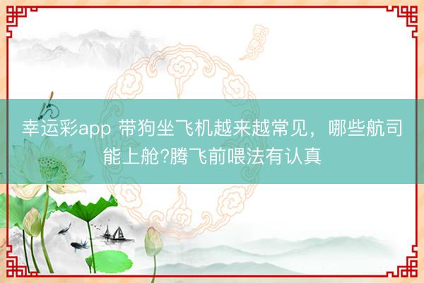 幸运彩app 带狗坐飞机越来越常见,哪些航司能上舱?腾飞前喂法有认真
